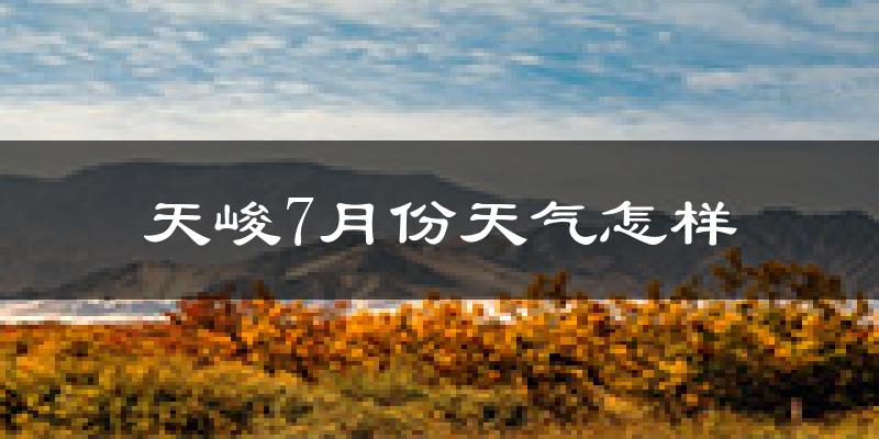 天峻7月份天气怎样?天峻七月热吗?