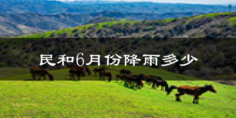 民和6月份降雨多少?