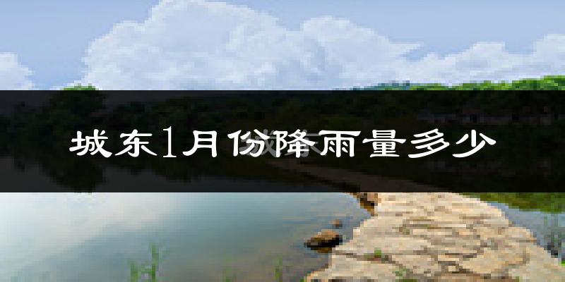 城东1月份降雨量多少?城东一月下雨多吗?