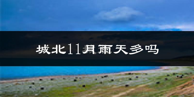 城北11月雨天多吗?