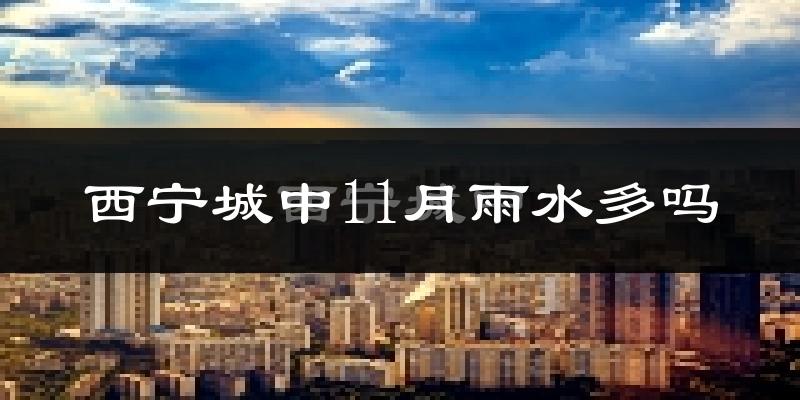 西宁城中11月雨水多吗?