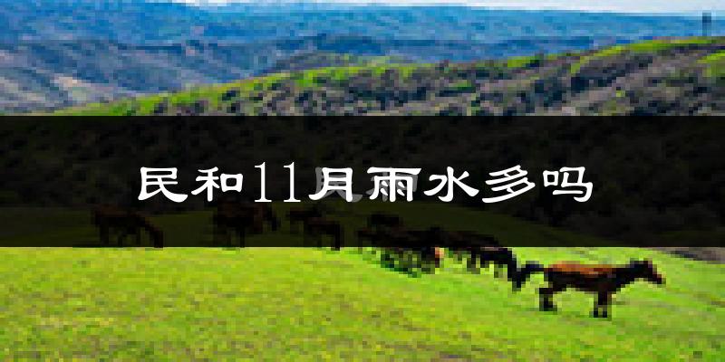 民和11月雨水多吗?