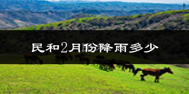 民和2月份降雨多少?