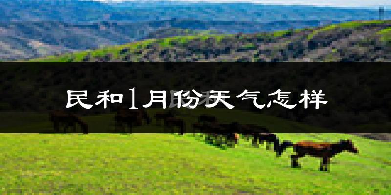 民和回族土族自治县1月份天气如何?很冷吗?
