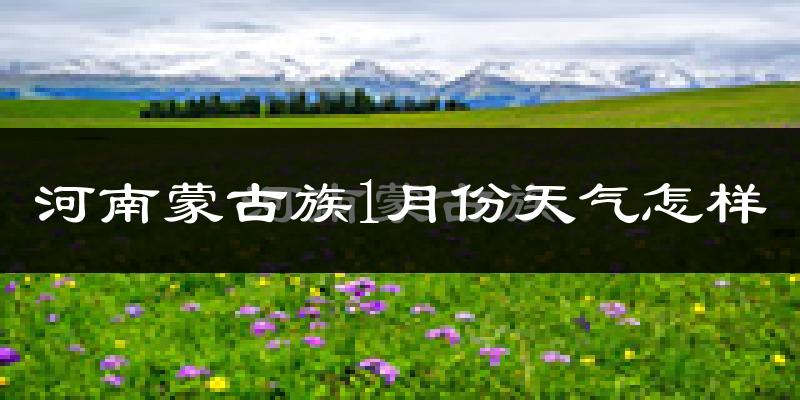 河南蒙古族自治县1月份天气如何?很冷吗?