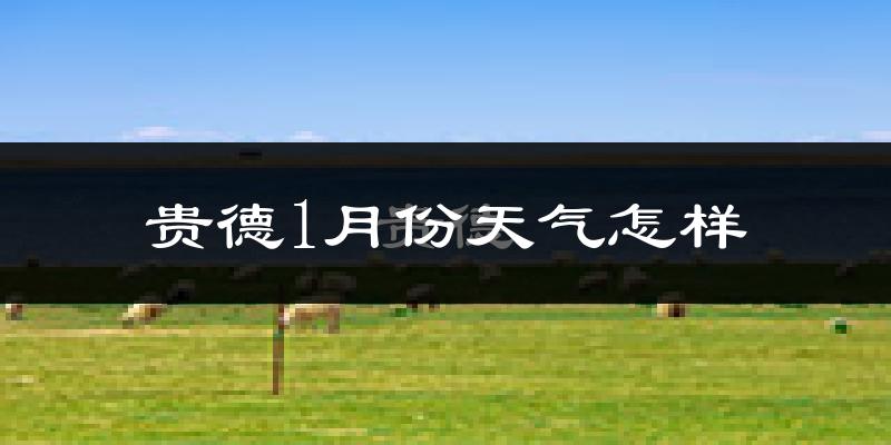 贵德县1月份天气如何?很冷吗?
