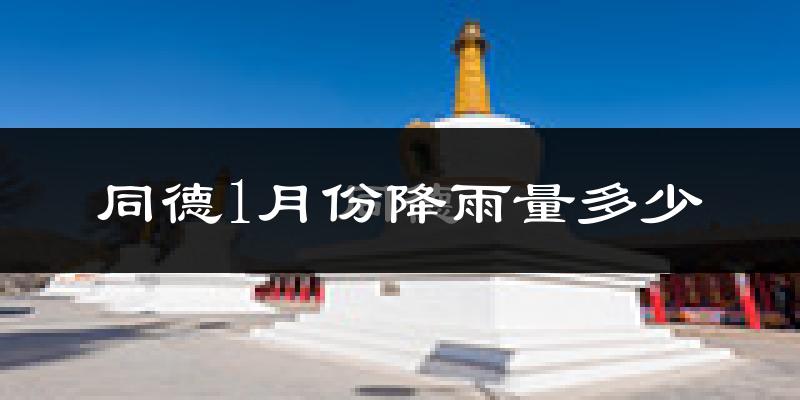 同德1月份降雨量多少?同德一月下雨多吗?