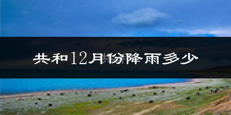 共和12月份降雨多少?