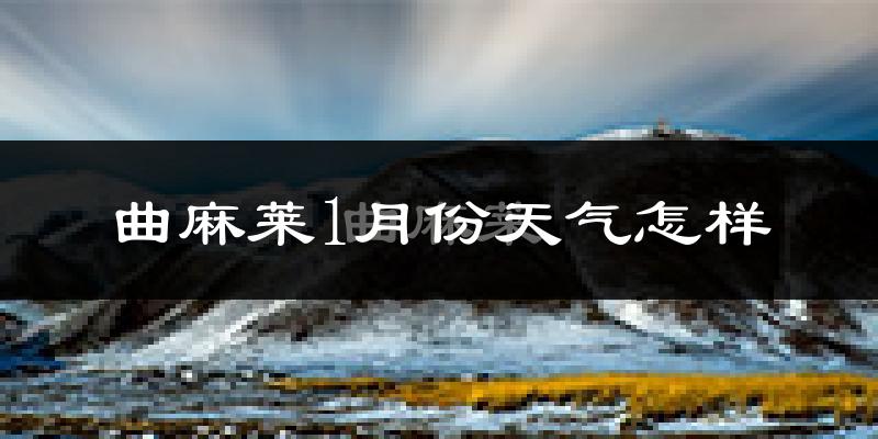 曲麻莱县1月份天气如何?很冷吗?