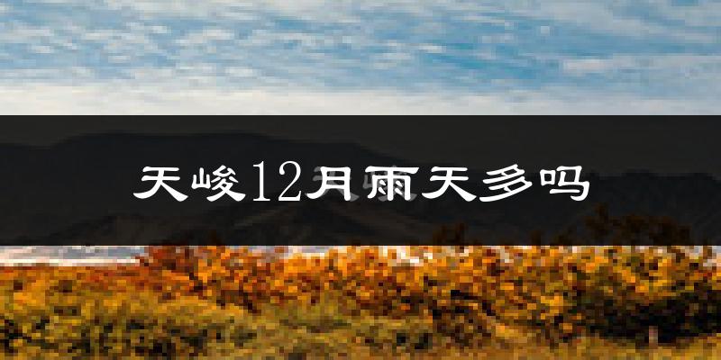 天峻12月雨天多吗?